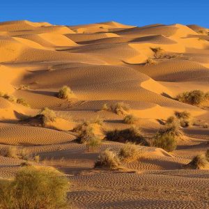 d74a5ee4e5_56469_270812-screen-desert10-1610-diapo