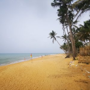 IMG_20221206_112515