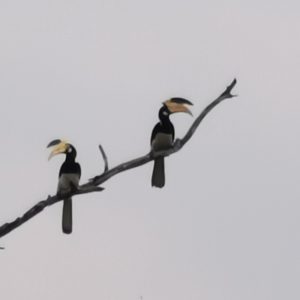 IMG_20221207_110929