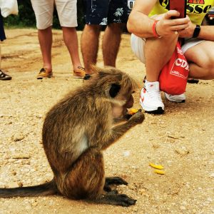 IMG_20221207_121804