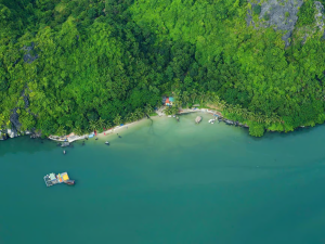 HALONG4